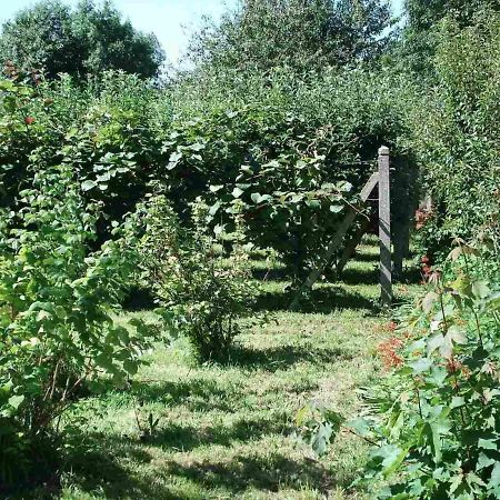 Le Clos Des Tilleuls La Vendelée Esterno foto