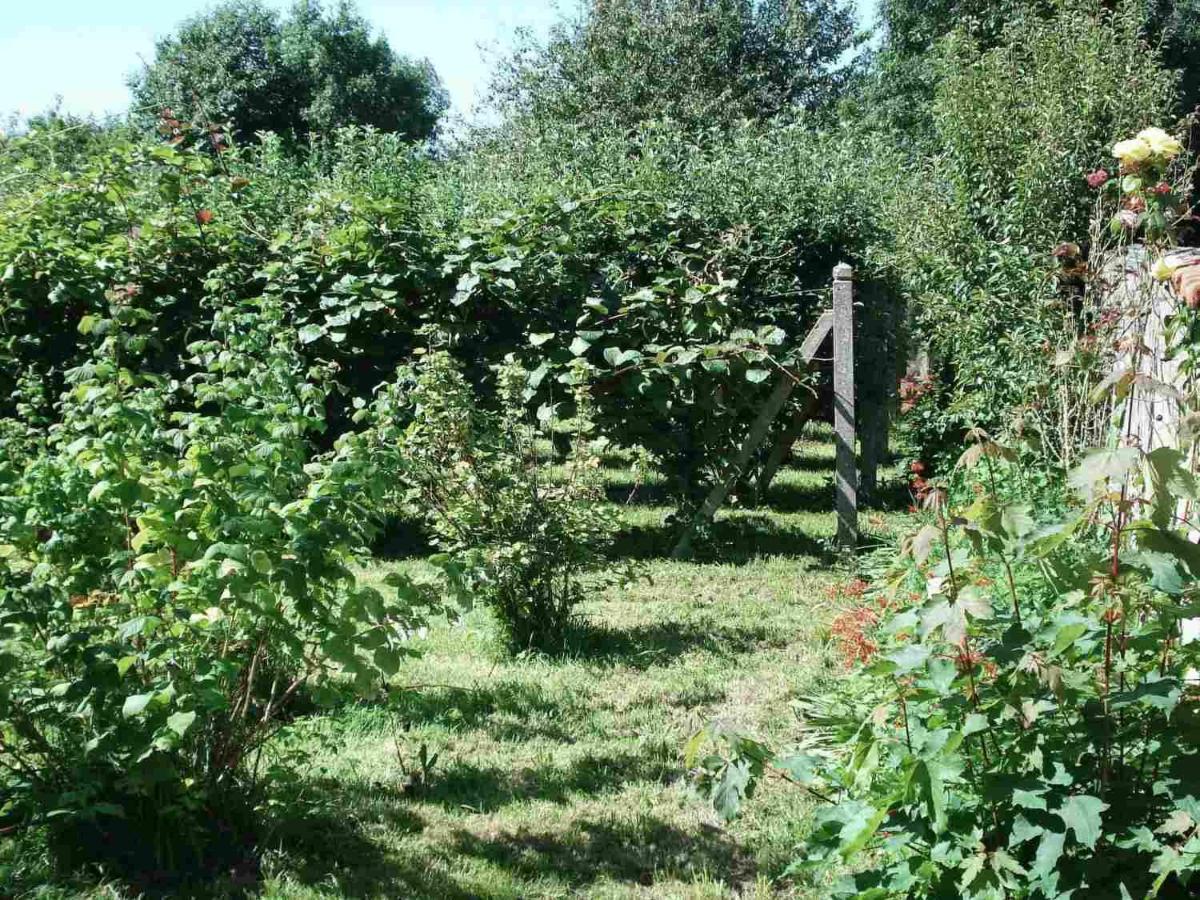 Le Clos Des Tilleuls La Vendelée Esterno foto