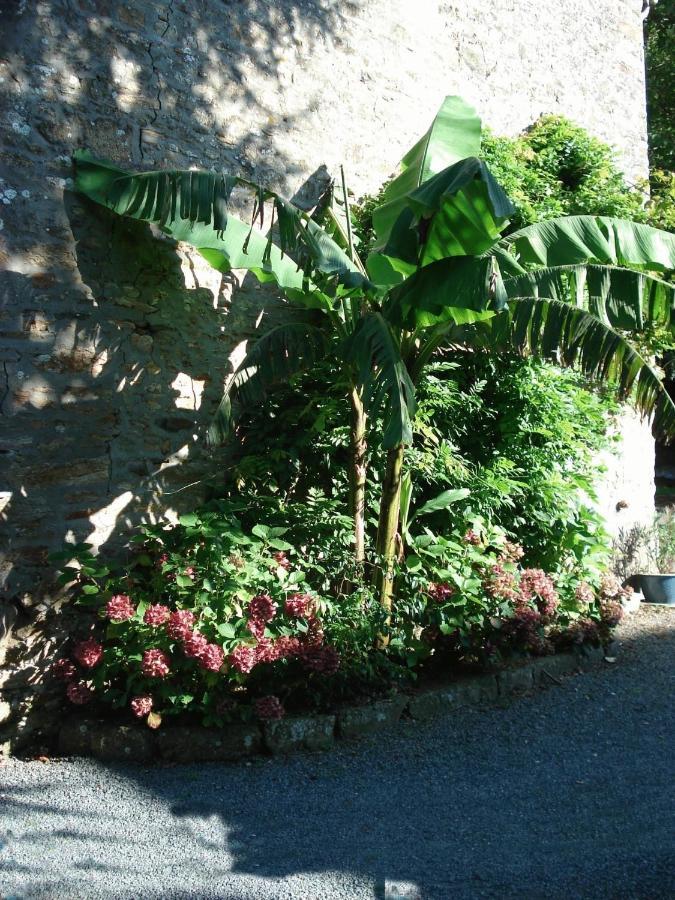 Le Clos Des Tilleuls La Vendelée Esterno foto
